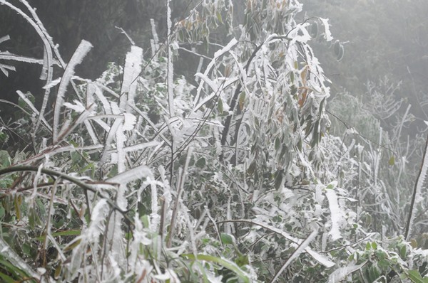 Snow ice at O Qui Ho mountain pass  - ảnh 1